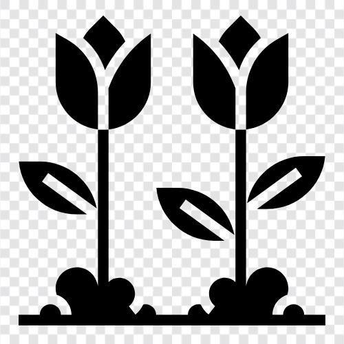 flowers, trees, weather, change icon svg