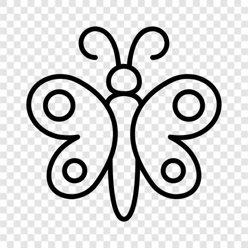 flutter, beauty, graceful, wings icon svg