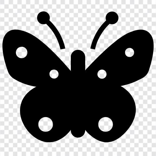 Flutter ikon