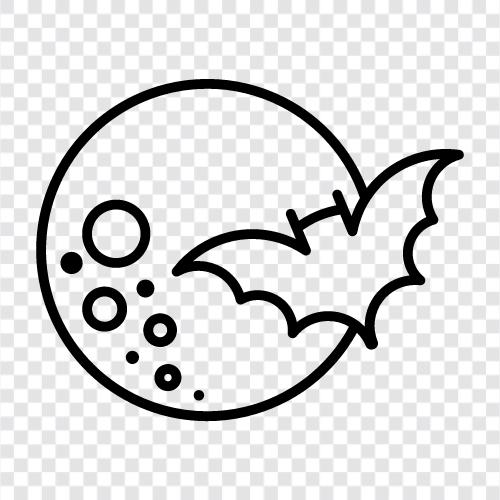 flying bats, bat behavior, bat habitats, bat pictures icon svg