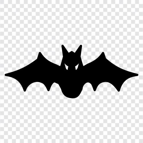 flying, mammals, prey, Bat icon svg