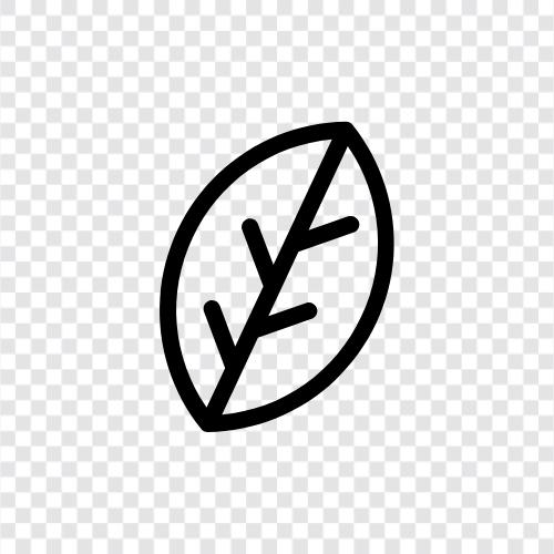 foliage, leaves, blade, blade length icon svg