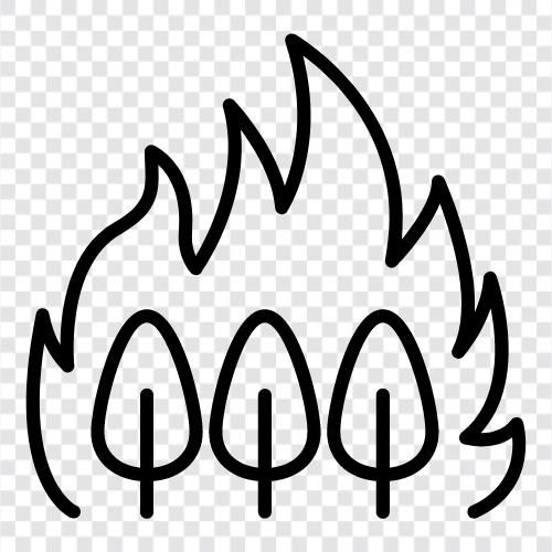 forest, fire, smoke, burn icon svg