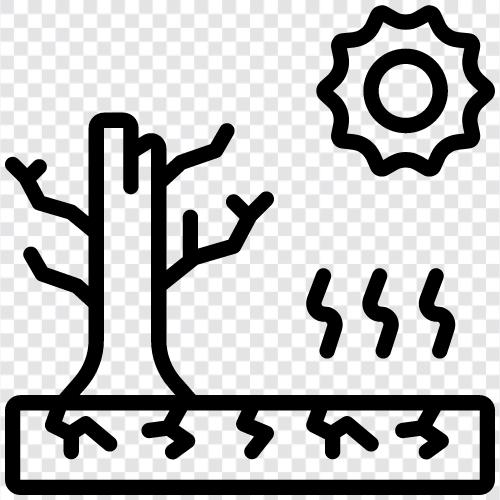 Wald, Bewaldung, Entwaldung, Pflanze symbol