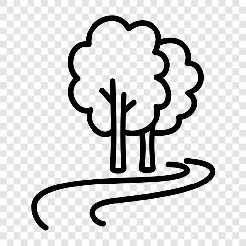 forest, trees, park, recreation icon svg