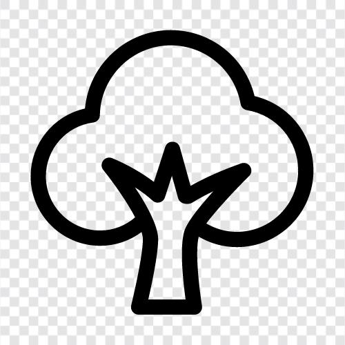 Wald, Arbor, Blätter, Zweig symbol