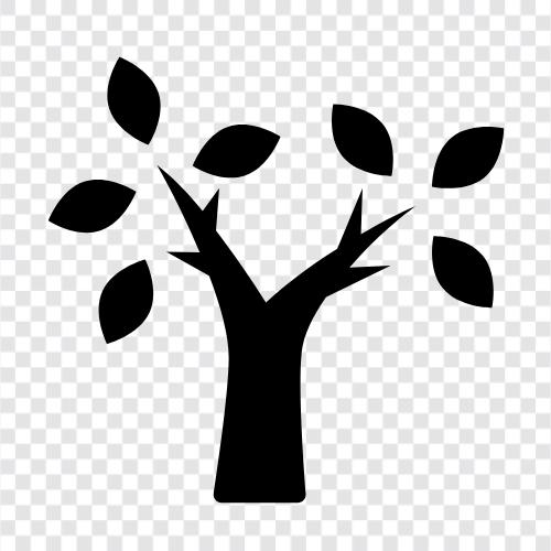 orman, kehribar, ağaç, bitki ikon svg