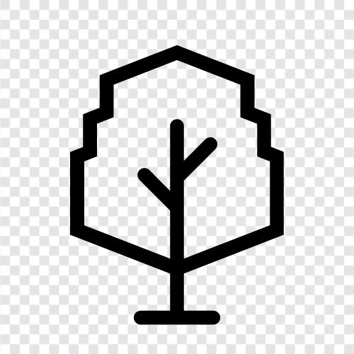 Forest, Bush, Wood, Plant icon svg