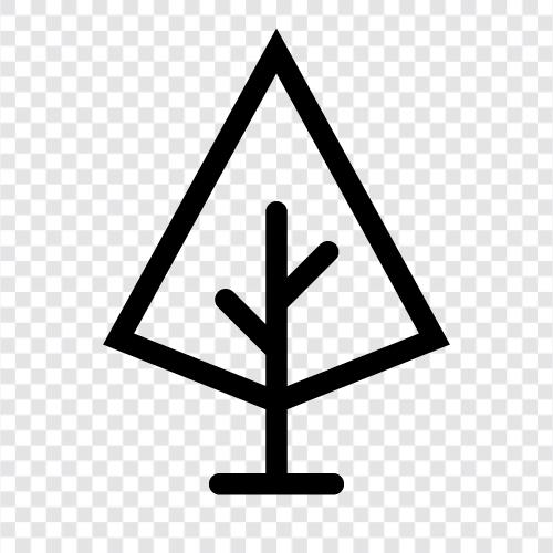 Wald, Wachstum, Blätter, Äste symbol