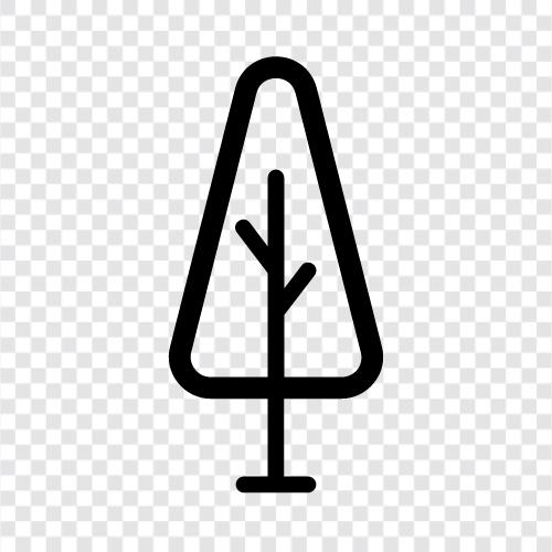 Wald, Holz, Waldboden, Bark symbol