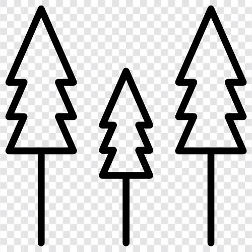 forestry, forestry technician, forest products, forest land icon svg