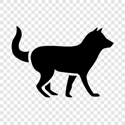 fox, animal, fur, coat icon svg