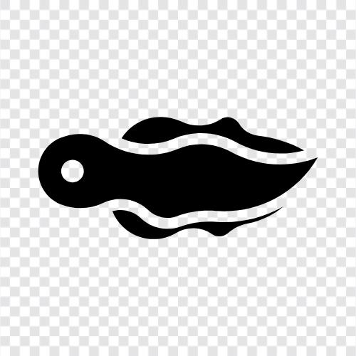 frog, animal, aquatic, amphibian icon svg