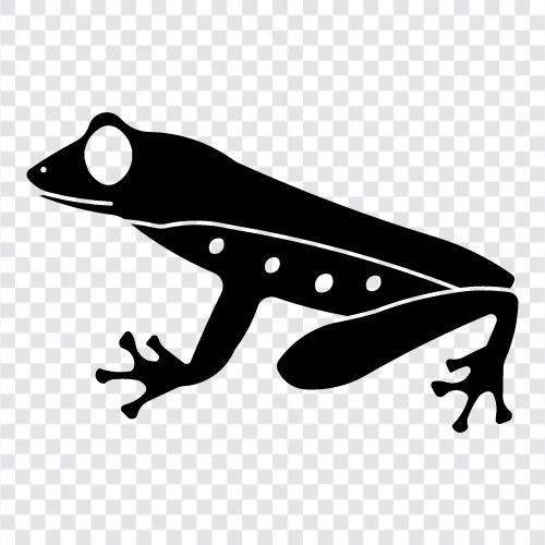 frog, tree, amphibian, animals icon svg