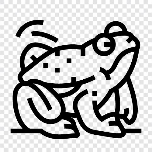 Frosch, Frosch Bilder, Frosch Bilder für Kinder, Frosch Bilder für Erwachsene symbol