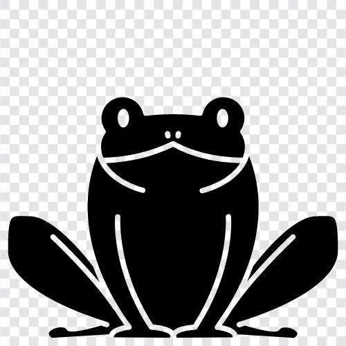 Frogs, Amphibians, New Zealand, ecology icon svg