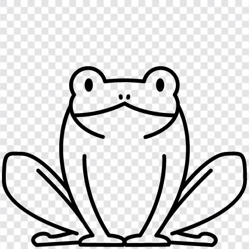 Frogs, Amphibians, Reptiles, Newts icon svg