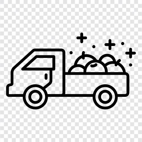 fruit delivery, fruit delivery near me, local fruit delivery, fresh fruit delivery icon svg