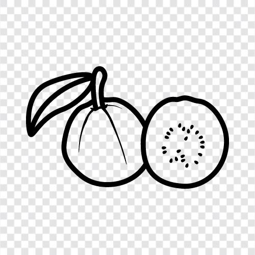 fruit, guava juice, guava paste, guava jelly icon svg