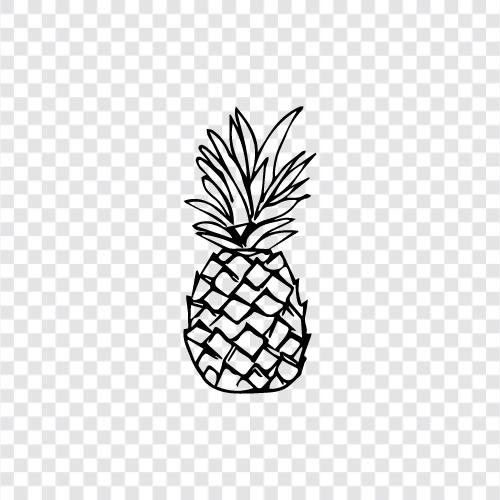 meyve, egzotik, tatlı, Pineapple ikon svg