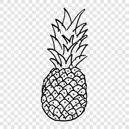 fruit, tropical, sweet, delicious icon svg