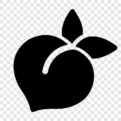 fruit, sweet, juicy, delicious icon svg