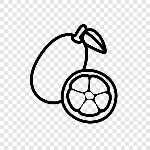 fruit, citrus, tart, sweet icon svg