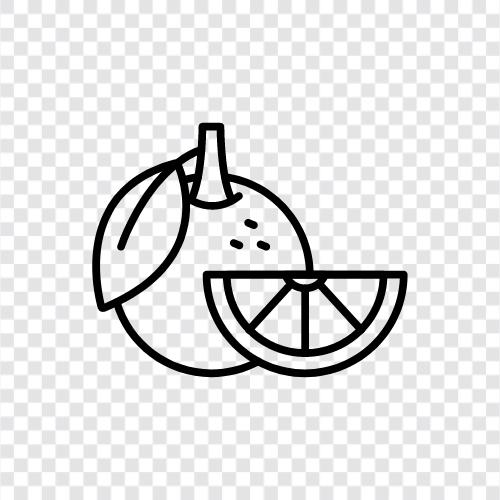 fruit, juice, vitamin C, citrus icon svg