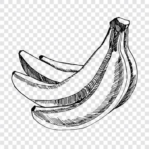 Фрукты, здоровые, витамины, калийные бананы Значок svg