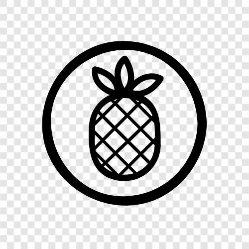 fruit, tropical, Hawaii, Samoa icon svg