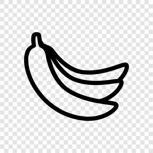 fruit, vegetable, healthy, potassium icon svg