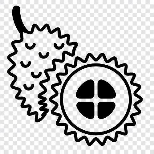 fruit, smell, spiny, louse icon svg