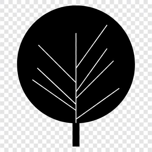 fruit, leaves, bark, roots Tree health -Tree icon svg