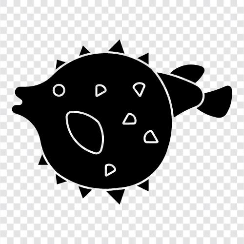 fugu zehirlenmesi, fugu zehirlenmesi belirtileri, fugu zehirlenmesi tedavisi, fug ikon svg