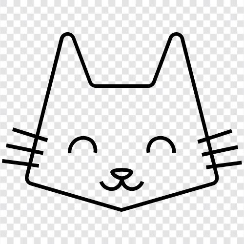 Funny Cat, Cute Cat, Funny Pictures of Cats, Cat Pictures icon svg