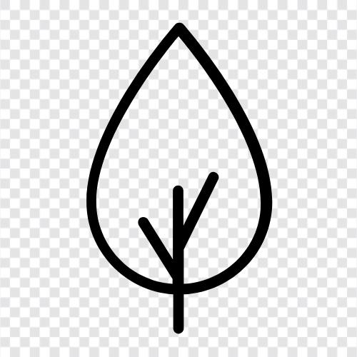 Gartenbaum, blühender Baum, Obstbaum, Schattenbaum symbol