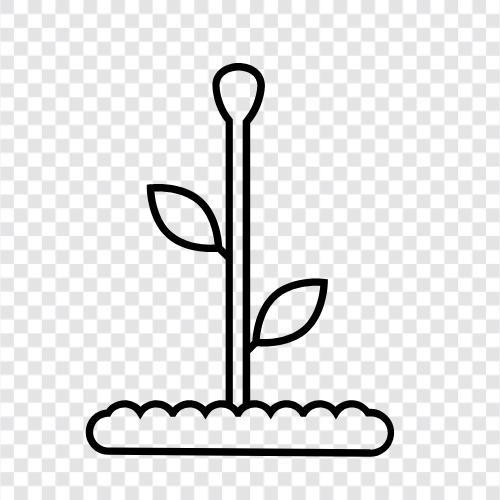 gardener, flower, weed, herb icon svg