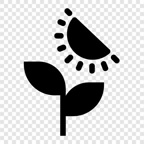 gardening, flowers, plants, gardening tips icon svg