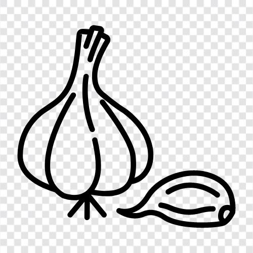 garlic icon svg