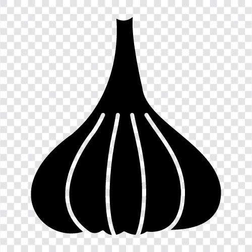 Knoblauch symbol