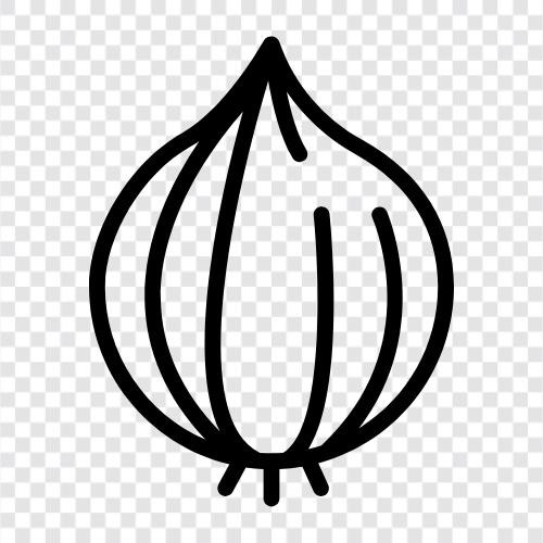 Knoblauch, Zwiebelhaut, Zwiebelsamen, Zwiebelanbau symbol