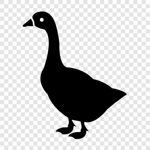 geese, waterfowl, poultry, barnyard icon svg