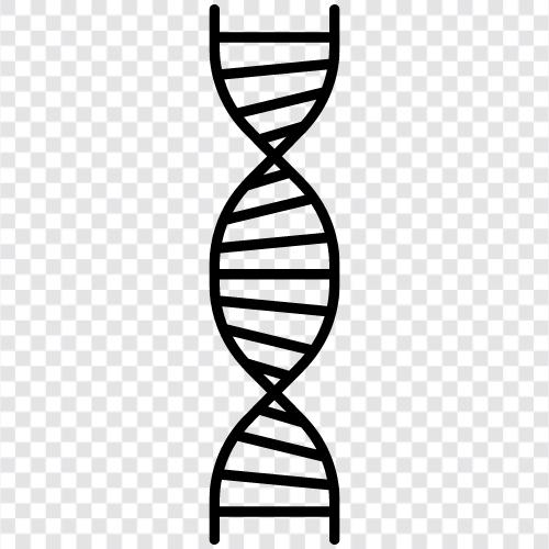 gene, genetic, chromosomes, DNA testing icon svg