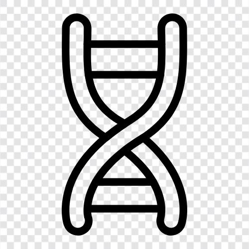 genetische, geneologische, genealogische, Abstammung symbol