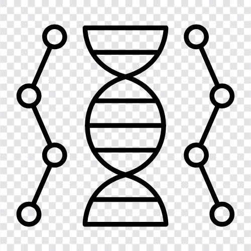 Genetic, Genetic code, DNA sequencing, DNA replication icon svg