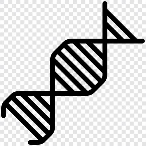 genetische, Krankheiten, genetische Tests, medizinische Aufzeichnungen symbol