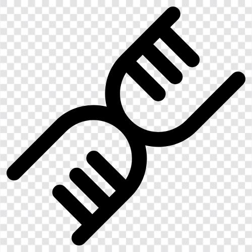 genetic, chromosomes, gene, genetic code icon svg
