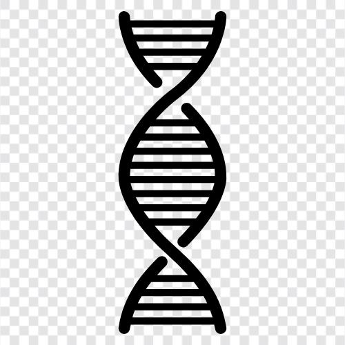 genetik, kromozom, genetik kod, genetik mutasyon ikon svg