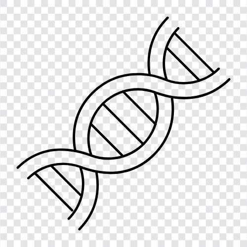 genetic, chromosomes, gene, mutation icon svg