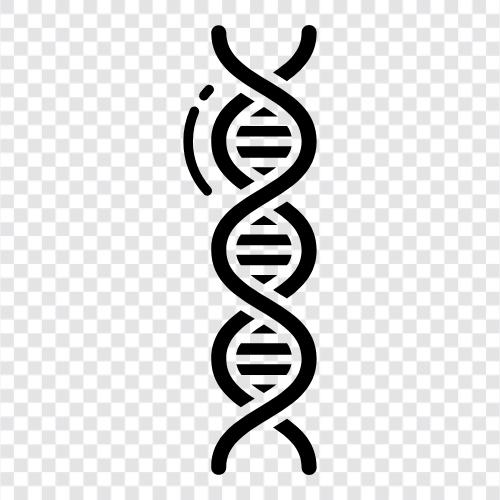 genetic, gene, chromosomes, mutation icon svg